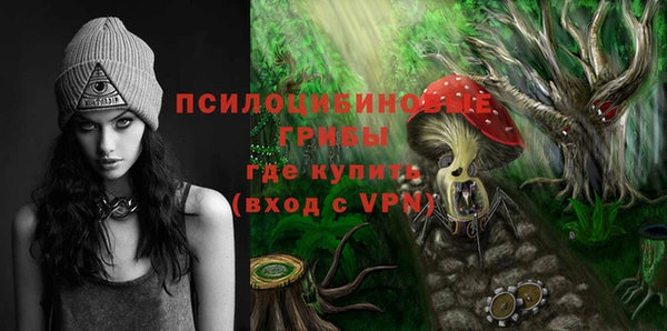 твердый Абинск