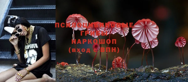 твердый Абинск